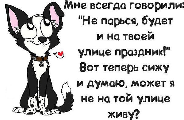 Картинки прикольные с надписями про жизнь со смыслом смешные, днем