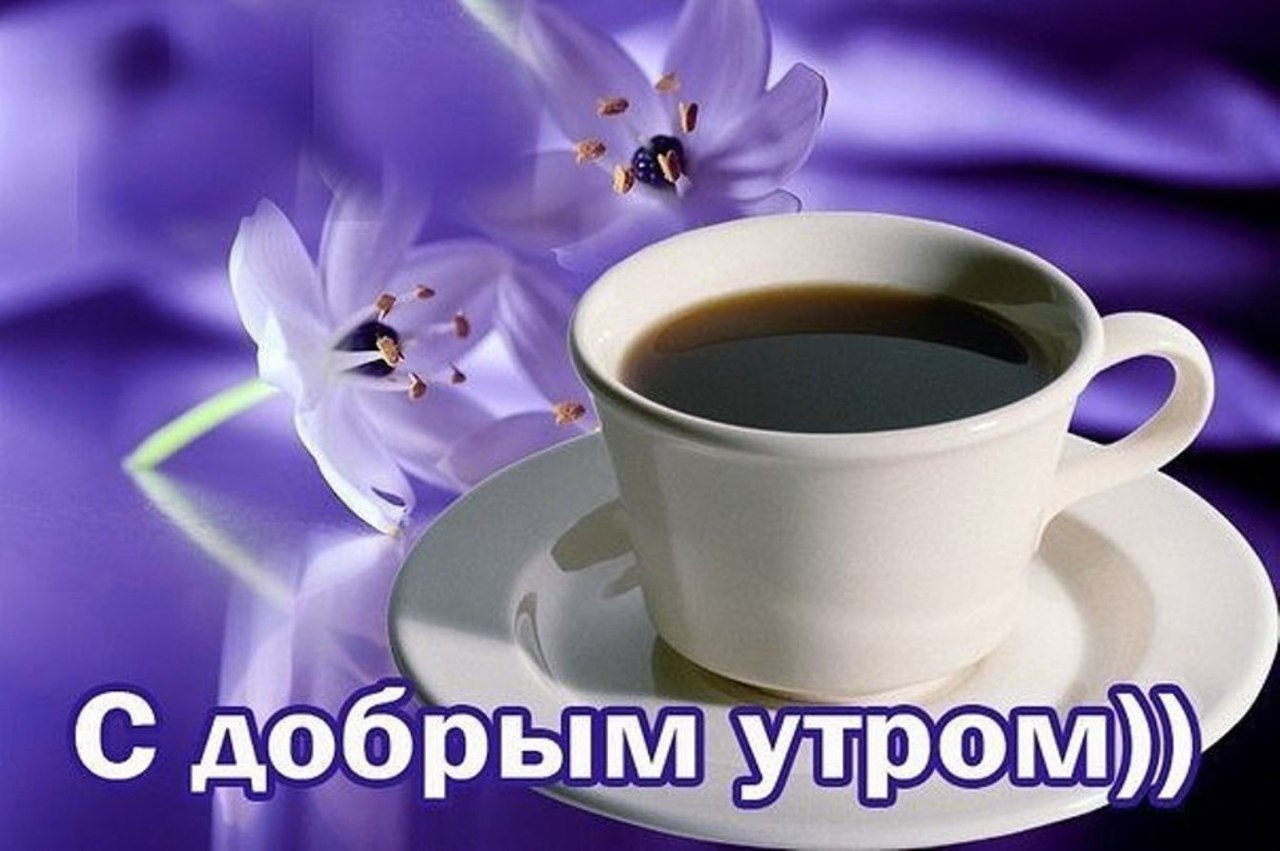 Делать, картинки с добрым утром и хорошего дня девушке прикольные надписи