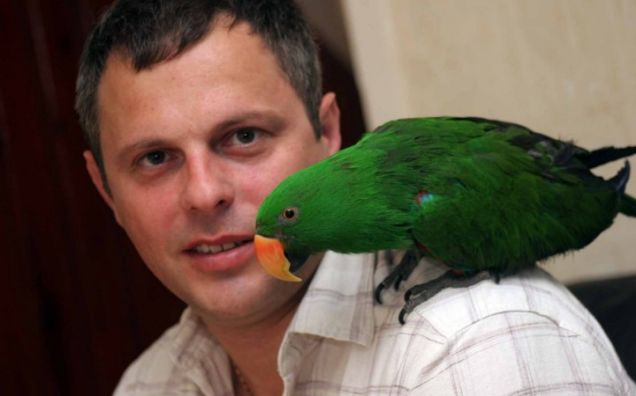 Crime-busting parrot fights burglars