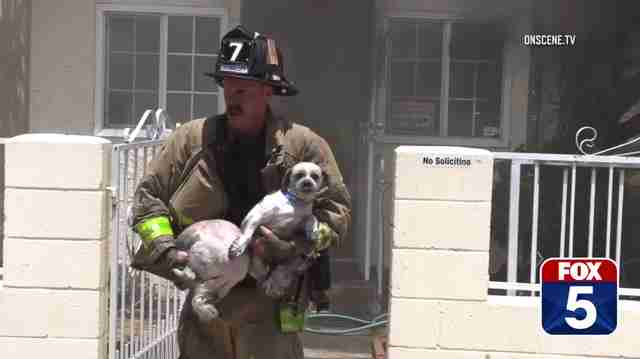 Brave Firefighter Rushes Into Burning Home To Save Dogs Trapped Inside