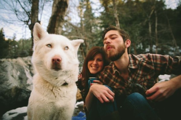over_love_dog