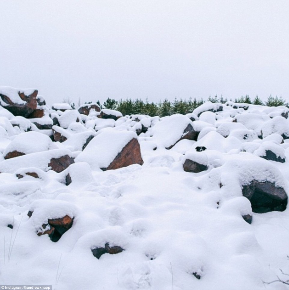 The images are reminiscent of Where's Waldo?, a popular series of books in which readers have to pin point the title character who is among a busy crowd. (SPOILER: Here we can see Momo's head in the center-right of frame with his ears and nose popping above the snow and stone)