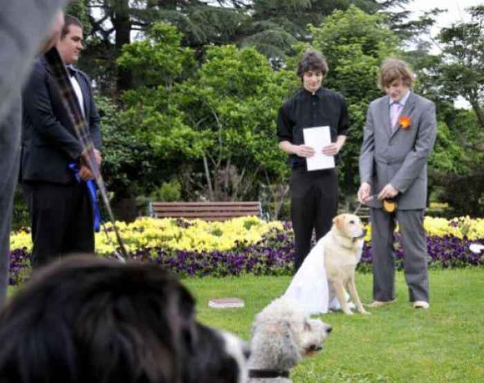 marries7 Australian Guy Marries His Dog