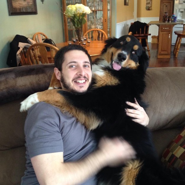 This dog who is very into hugs and posing.