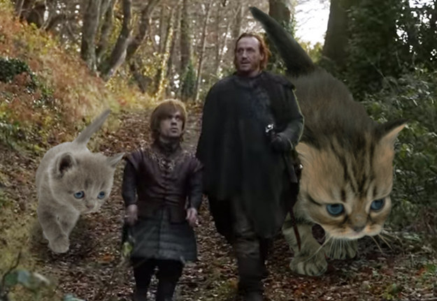 Kittens for the best buddies in Westeros: Tyrion and Bronn!