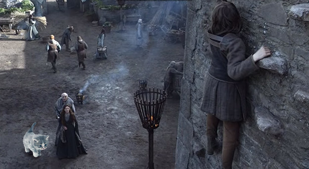 Kittens to follow them on their adventures!