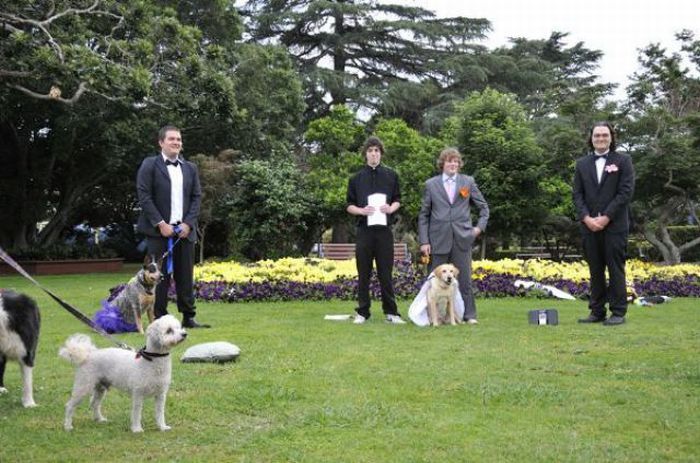 marries11 Australian Guy Marries His Dog