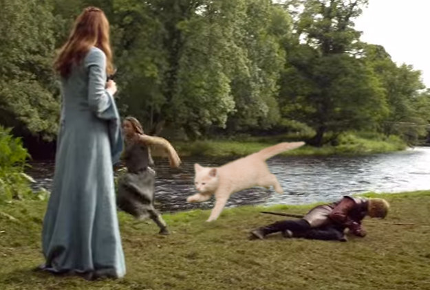 LET'S BOUNCE, WHISKERS!