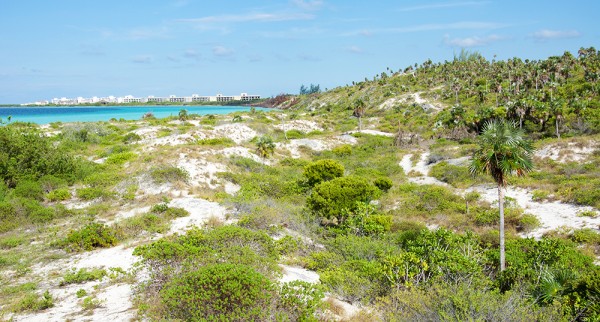 Playa Pilar in Cayo Guillermo, Cuba
