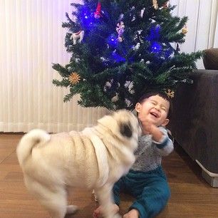 Mr. Kimchi might be the best gift ever. | This Little Boy And His Pug Are The Cutest BFFs On The Planet