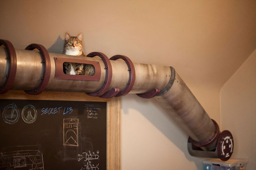 cool-cat-furniture-pipes-walls