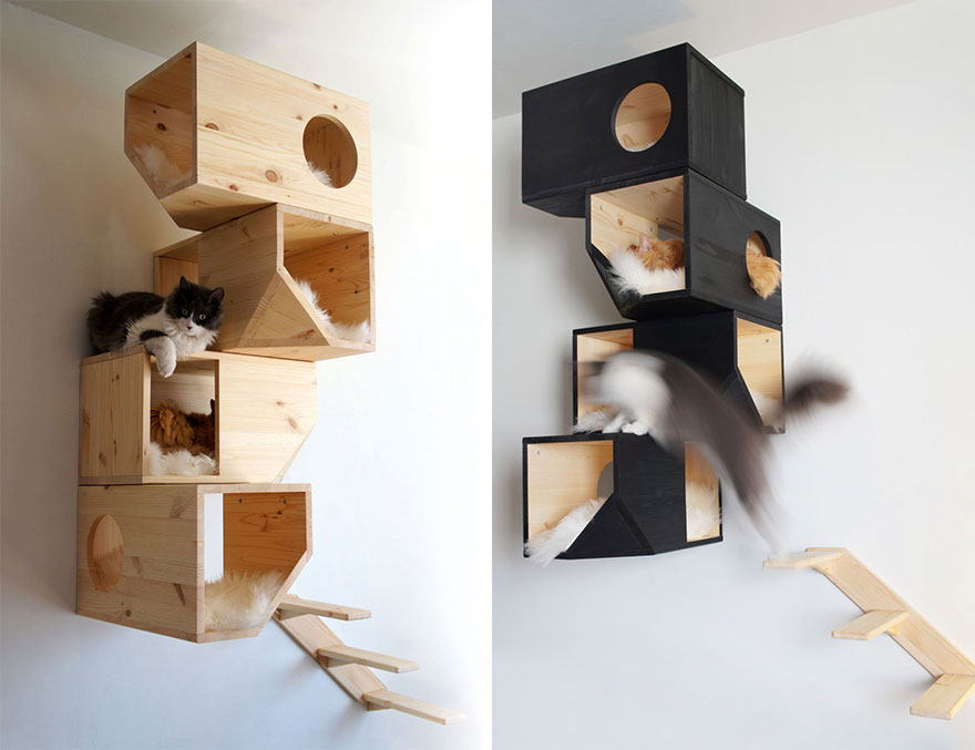 cool-cat-furniture-shelf-puzzle