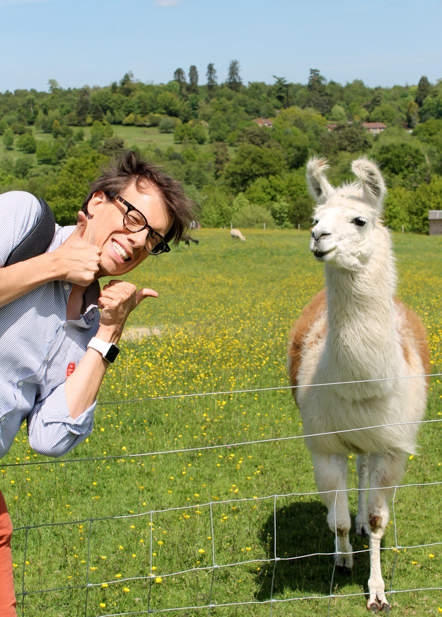 I was excited to go on a Llama Walkabout.