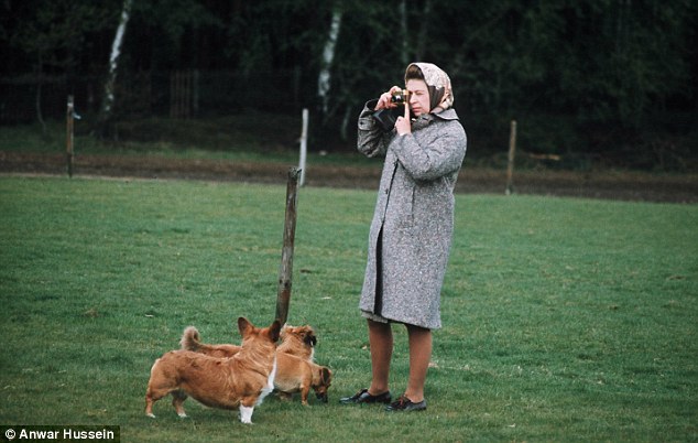 The Queen photographed in Windsor Great Park taking snaps of her Corgis in the 1960s 