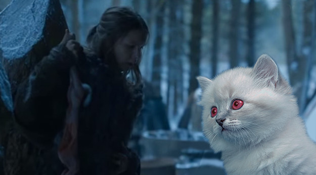 Don't worry, Gilly! It's just Snowball!