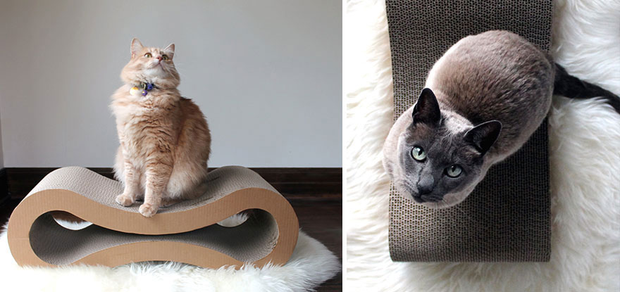 cool-cat-furniture-scratcher-infinity-bed
