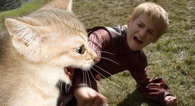 Don't mess with OUR FAMILY!