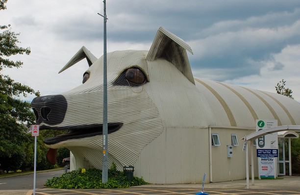 dog bldg