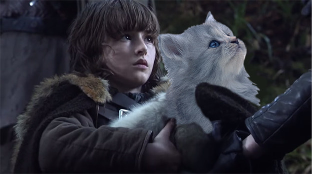 Instead of a slobbery, gross wolf pup, each of the Stark children would receive a cuddly little furball like THIS ONE!