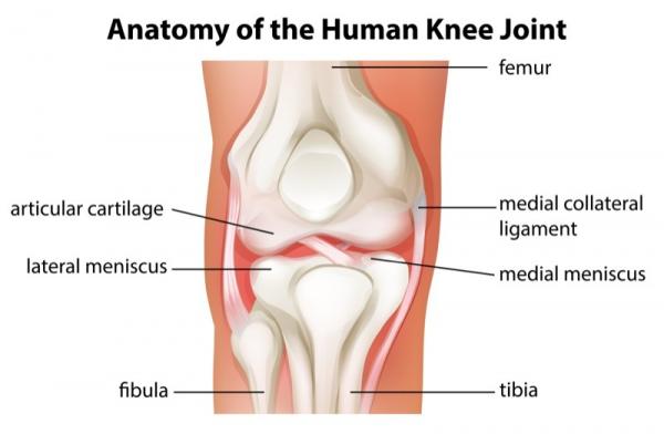 knee pain, runners knee, jumping, glutes, activation, knee, landing, PFOS