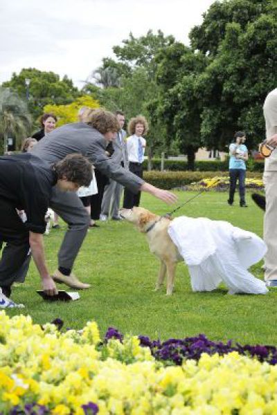 marries8 Australian Guy Marries His Dog