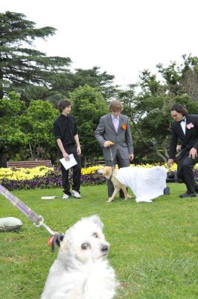 marries9 Australian Guy Marries His Dog