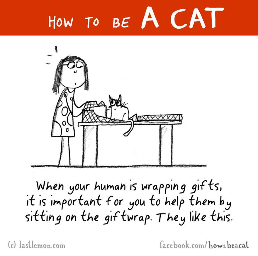 How To Be A Cat