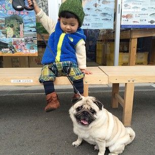 They go for walks around town all the time. | This Little Boy And His Pug Are The Cutest BFFs On The Planet