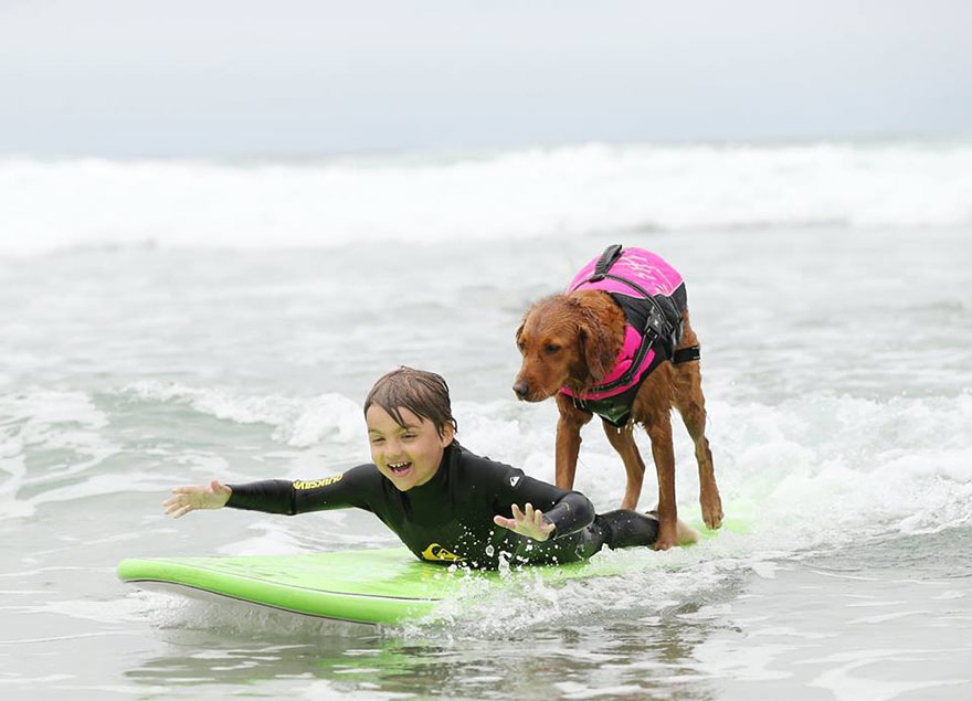 surfing-dog-service-disabled-people-surf-board-ricochet-2