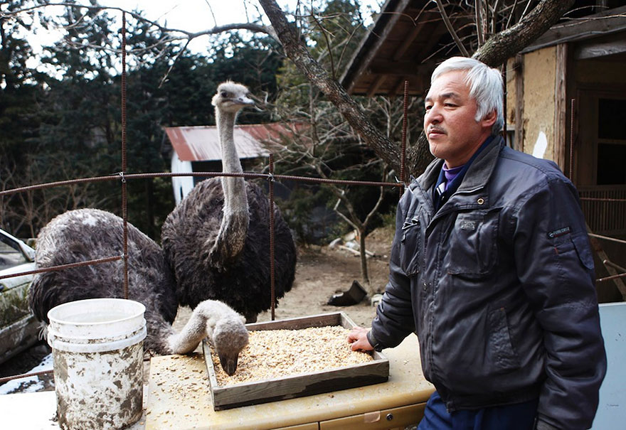 fukushima-radioactive-disaster-abandoned-animal-guardian-naoto-matsumura-9