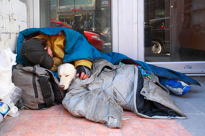 Homeless Man With His Closest Companion