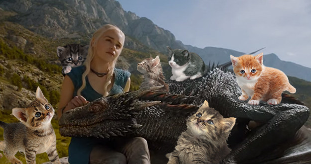 Mother of Dragons and Kittens!