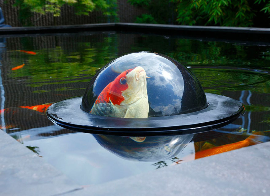 floating-fish-dome-out-of-water-velda-1