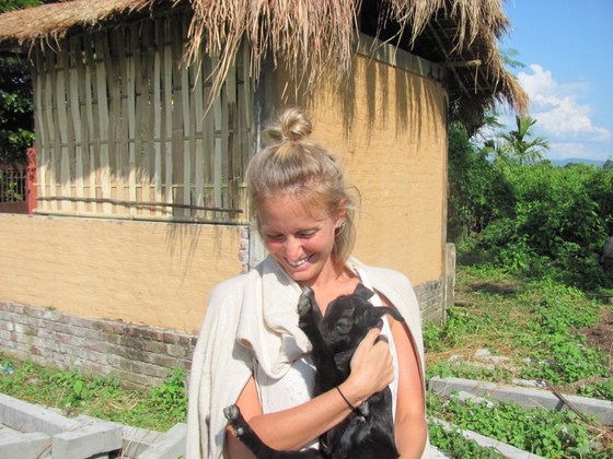 Jia Bhorelli goats