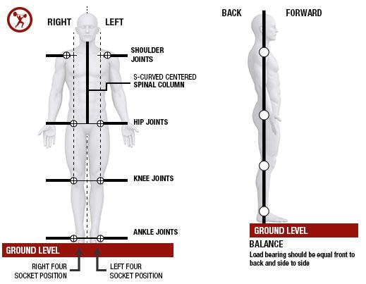 mobility, posture alignment therapy, egoscue, maryann berry, physical therapy