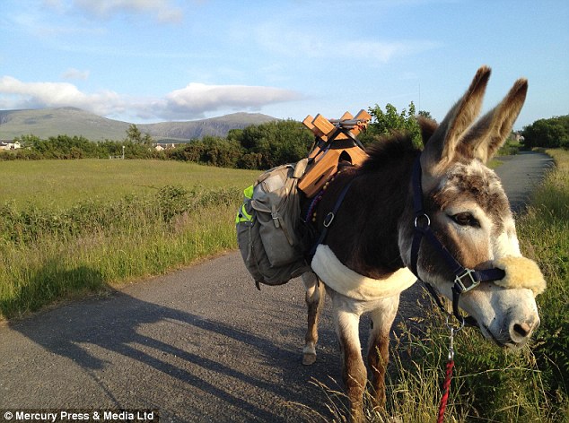 Chico and Miss Engelkamp walked clockwise around Wales after starting in Aberystwyth last May