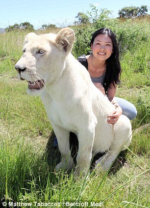 Hello kitty: Another tourist has a close encounter at the ranch