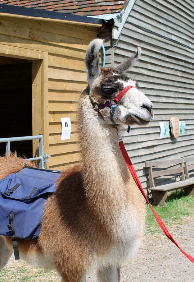 This is Freddie, who would be taking me on my journey of self-discovery and realisation.