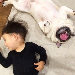 When they nap, they nap together. | This Little Boy And His Pug Are The Cutest BFFs On The Planet