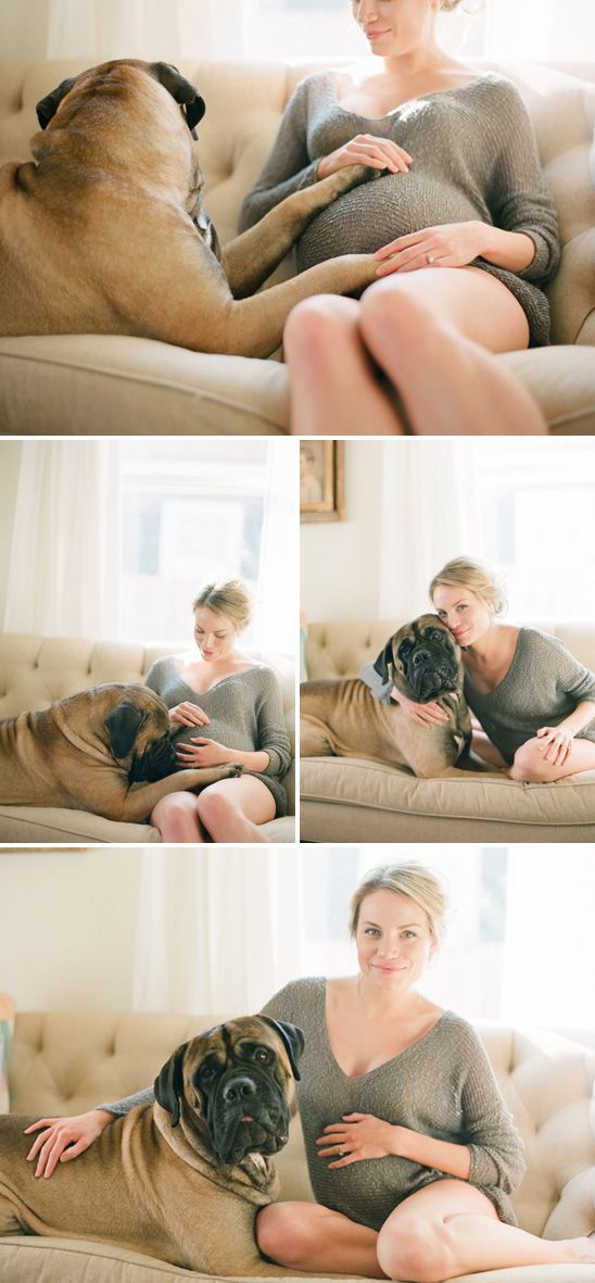 beautiful & simple maternity. plus a dog. makes my heart sing;)