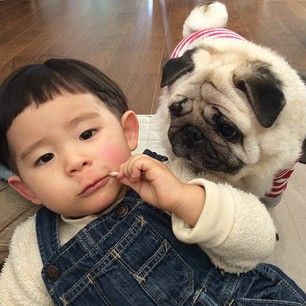 They�re total pros at taking selfies. | This Little Boy And His Pug Are The Cutest BFFs On The Planet