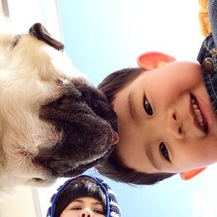 One things for sure � whatever they�re doing, they are pretty dang cute while doing it. | This Little Boy And His Pug Are The Cutest BFFs On The Planet