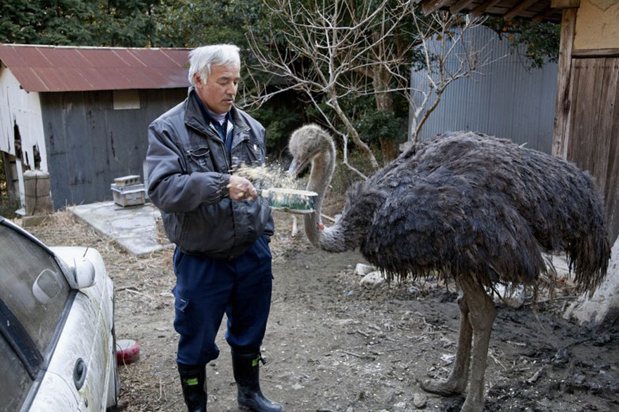 fukushima-radioactive-disaster-abandoned-animal-guardian-naoto-matsumura-11