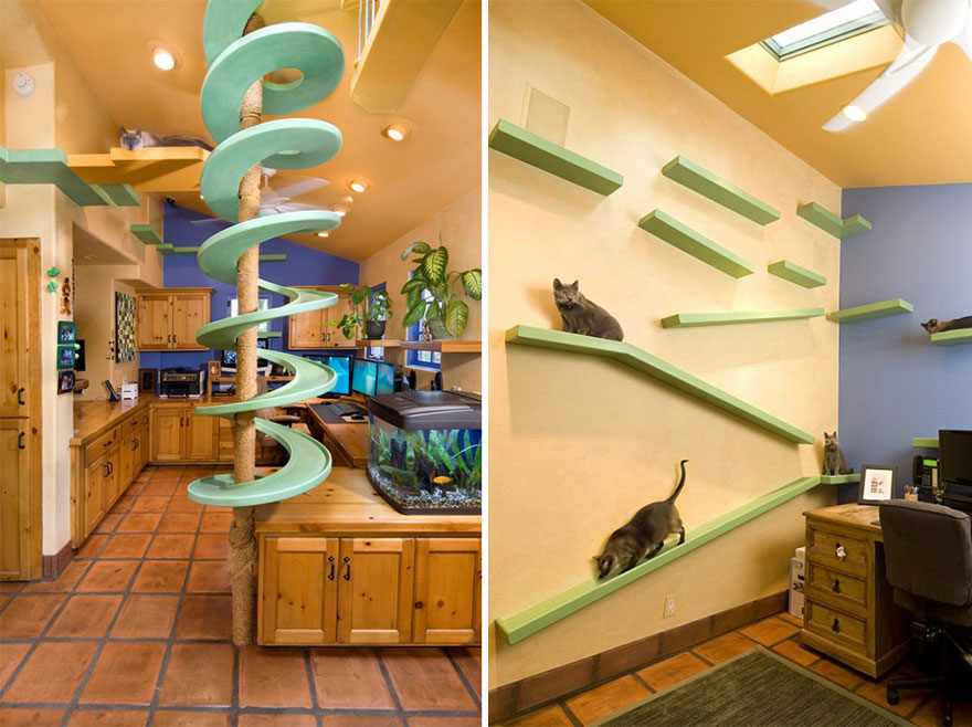 cool-cat-furniture-house-walls-toys