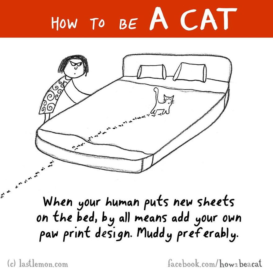 How To Be A Cat
