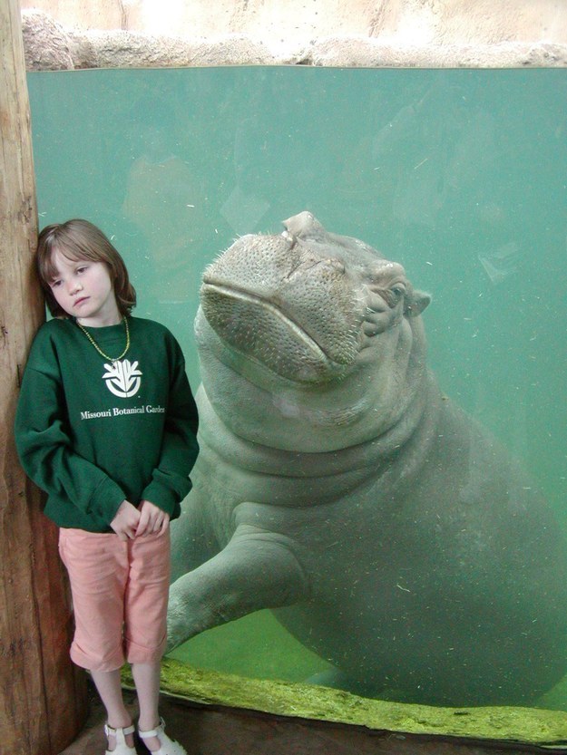 This hippo who just gets it.