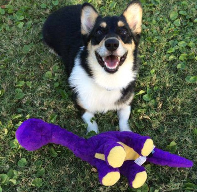 King wrote in the caption of this humorous picture of Molly: 'The Thing of Evil, ruthlessly hunts down the Purple Dinosaur of Decency and crows over its dead body'