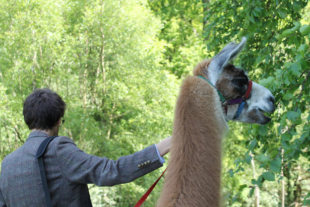 Although, Freddie did not seem quite as keen about the idea as I was.