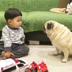 And they�re really good at staring contests. | This Little Boy And His Pug Are The Cutest BFFs On The Planet
