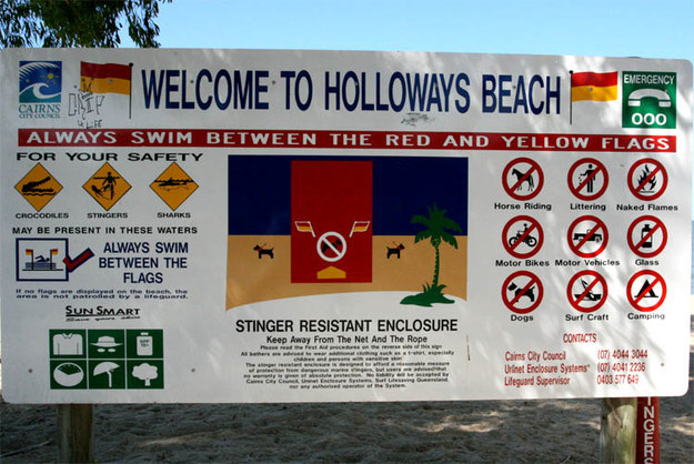 Crocodiles. Stingers. Sharks. Everything you could want from a beach right?